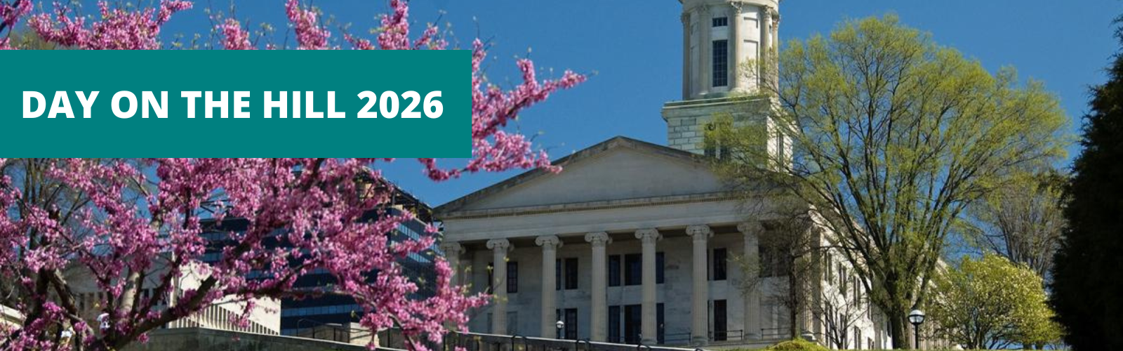 Day on the Hill 2026 | Sexual Assault Center Tennessee State Capitol Advocacy